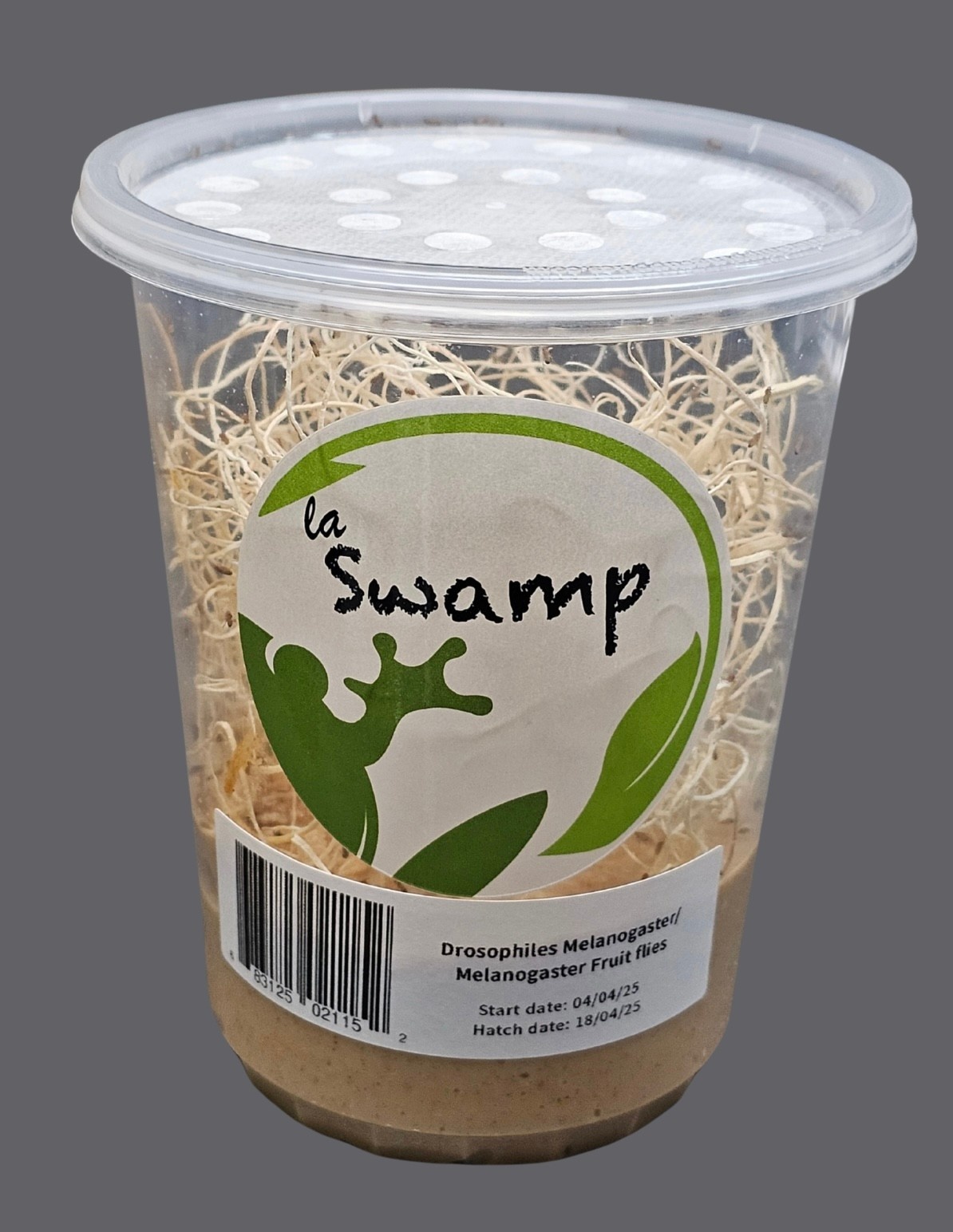 La Swamp LA SWAMP CULT-MEL Culture de mouche à fruit/Fruit Flies   Drosophila Melanogaster