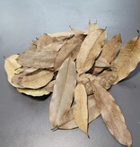 La Swamp LA SWAMP Feuilles de kaya