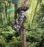Magazoo Python tapis Irian Jaya Indonésien (Pure west papuan Irian Jaya) Femelle #1
