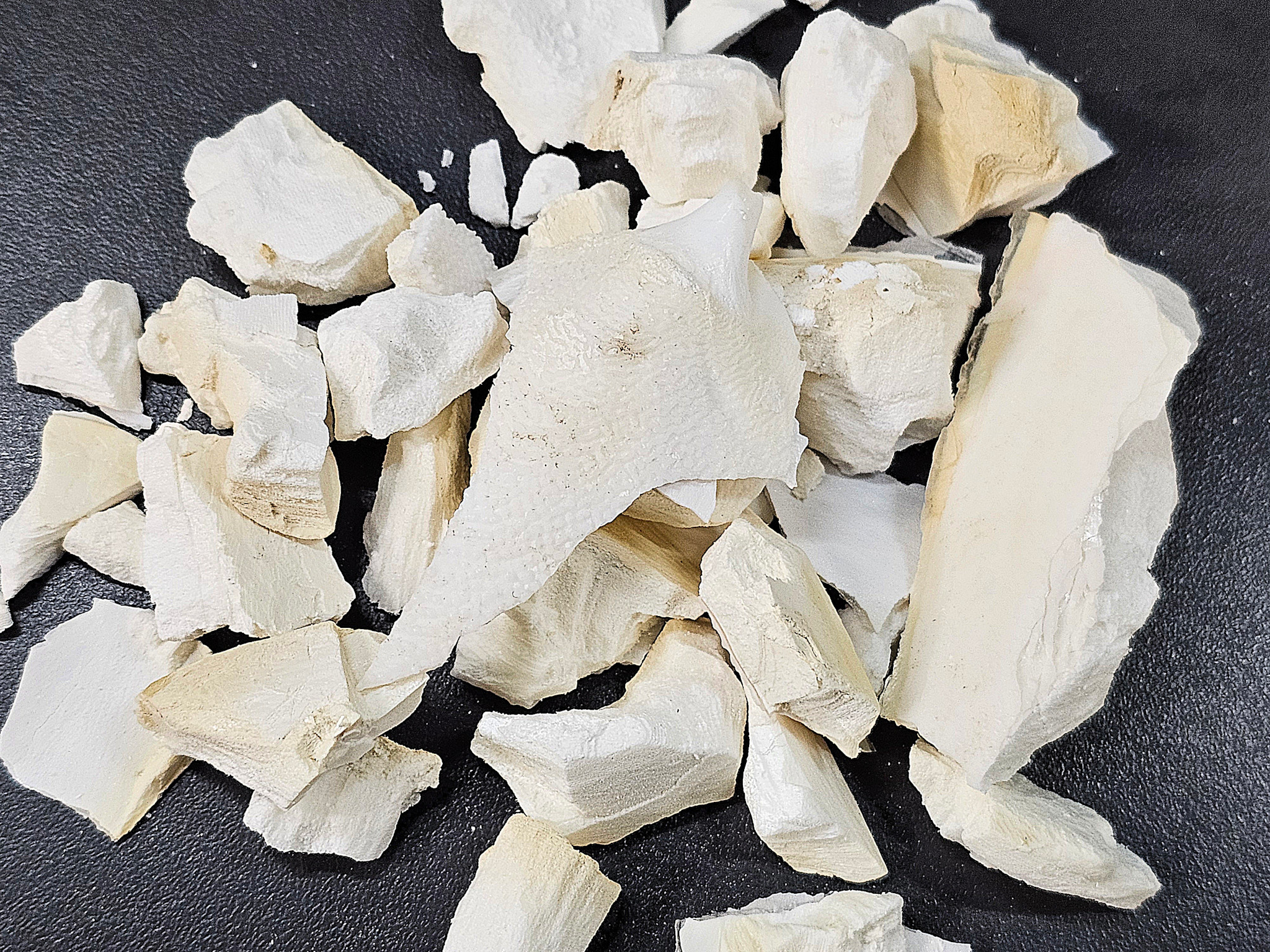 La Swamp Crushed cuttlefish bone 100g