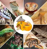 ReptiZoo REPTIZOO EHR44 Château multifonctionnel en forme de citrouille