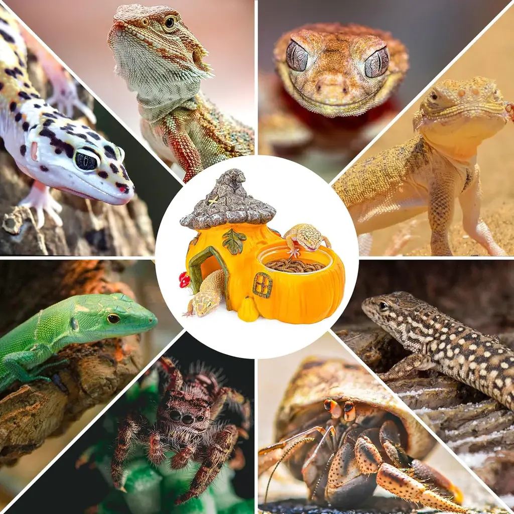 ReptiZoo ReptiZoo Multifunctional Pumpkin Hide Castle