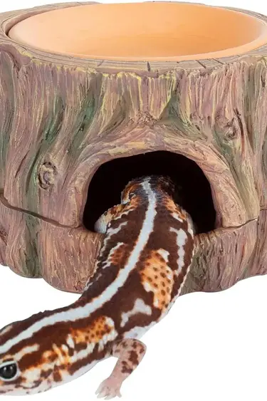 ReptiZoo REPTIZOO RZ-EHR29S Cachette 3 en 1 en souche d'arbre avec humidificateur et bol d'eau en céramique