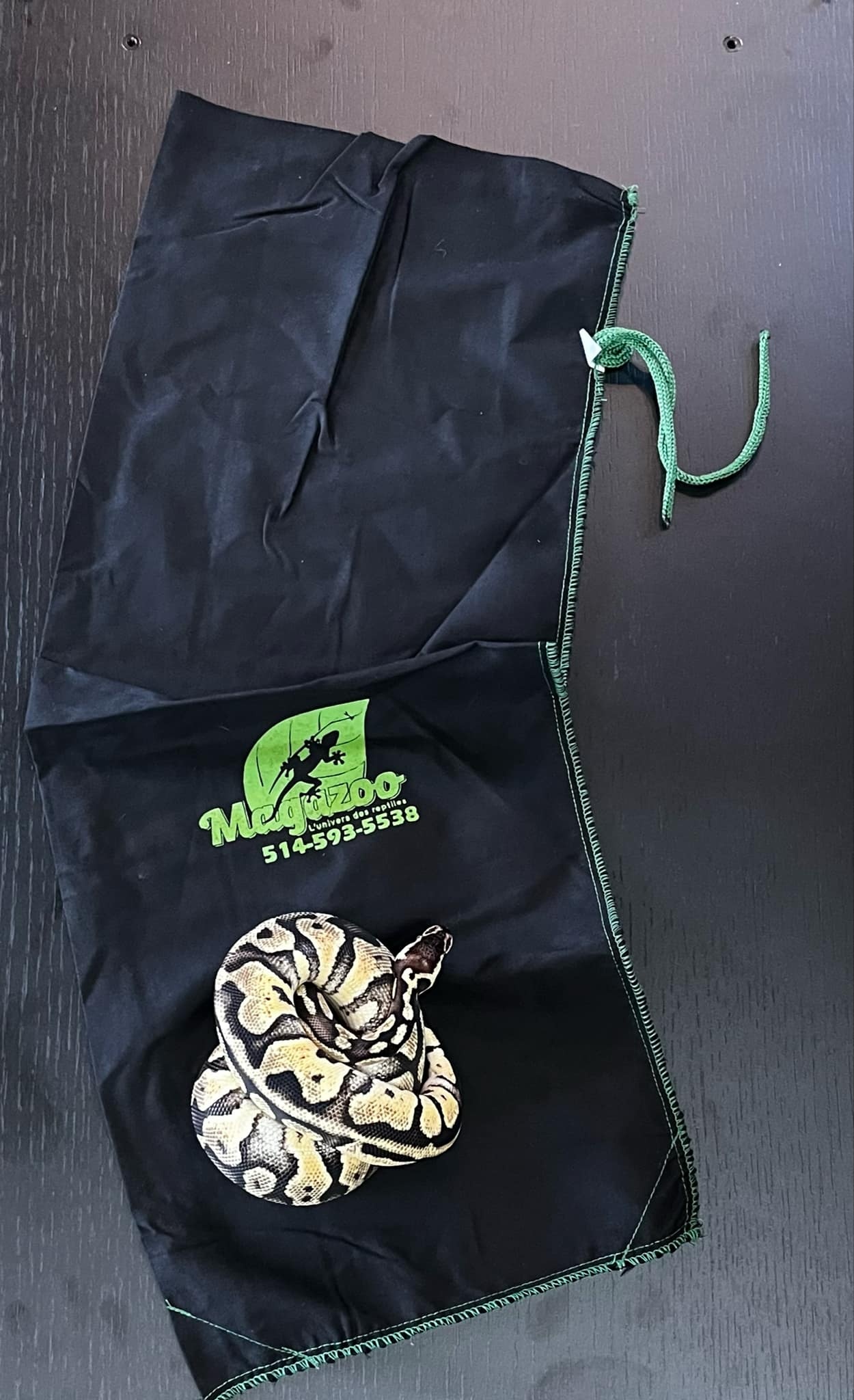 Magazoo Transport pocket for reptiles