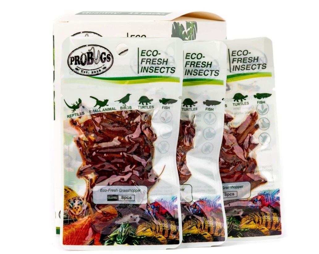 ProBugs PROBUGS PB-GH-15 Sauterelles Eco-Fresh