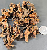 La Swamp Curvy pods 0.5oz