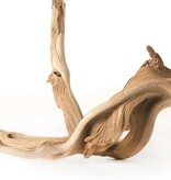 Galapagos GALAPAGOS GA-05510 Corne de cerf, racine de manzanita 13-18"