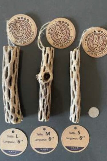 Nano Aquatique Cholla Wood 6"