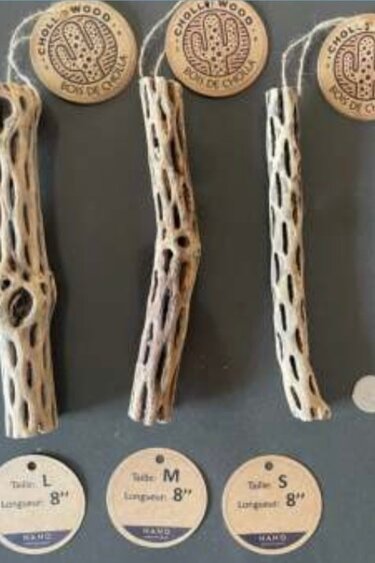 Nano Aquatique Cholla Wood 8"