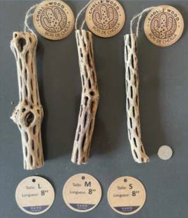 Nano Aquatique Cholla Wood 8"