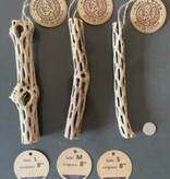 Nano Aquatique Cholla Wood 8"