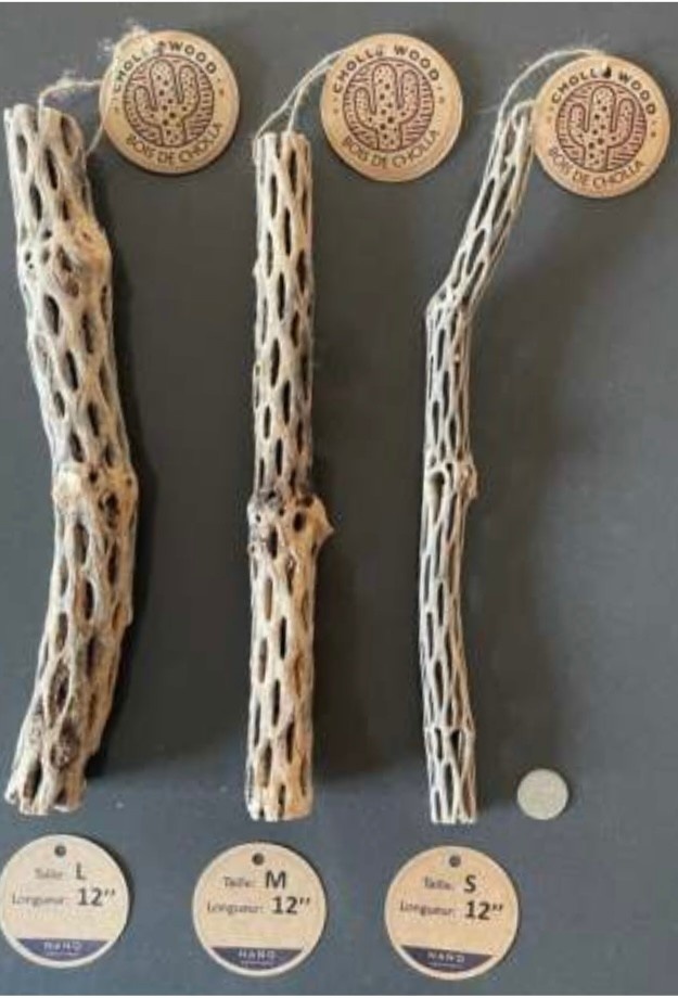 Nano Aquatique Cholla Wood 12"