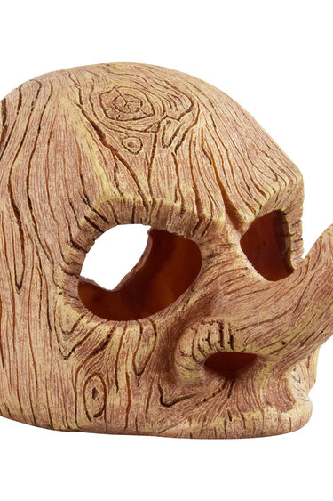 Treasures underwater Mr. Long Nose