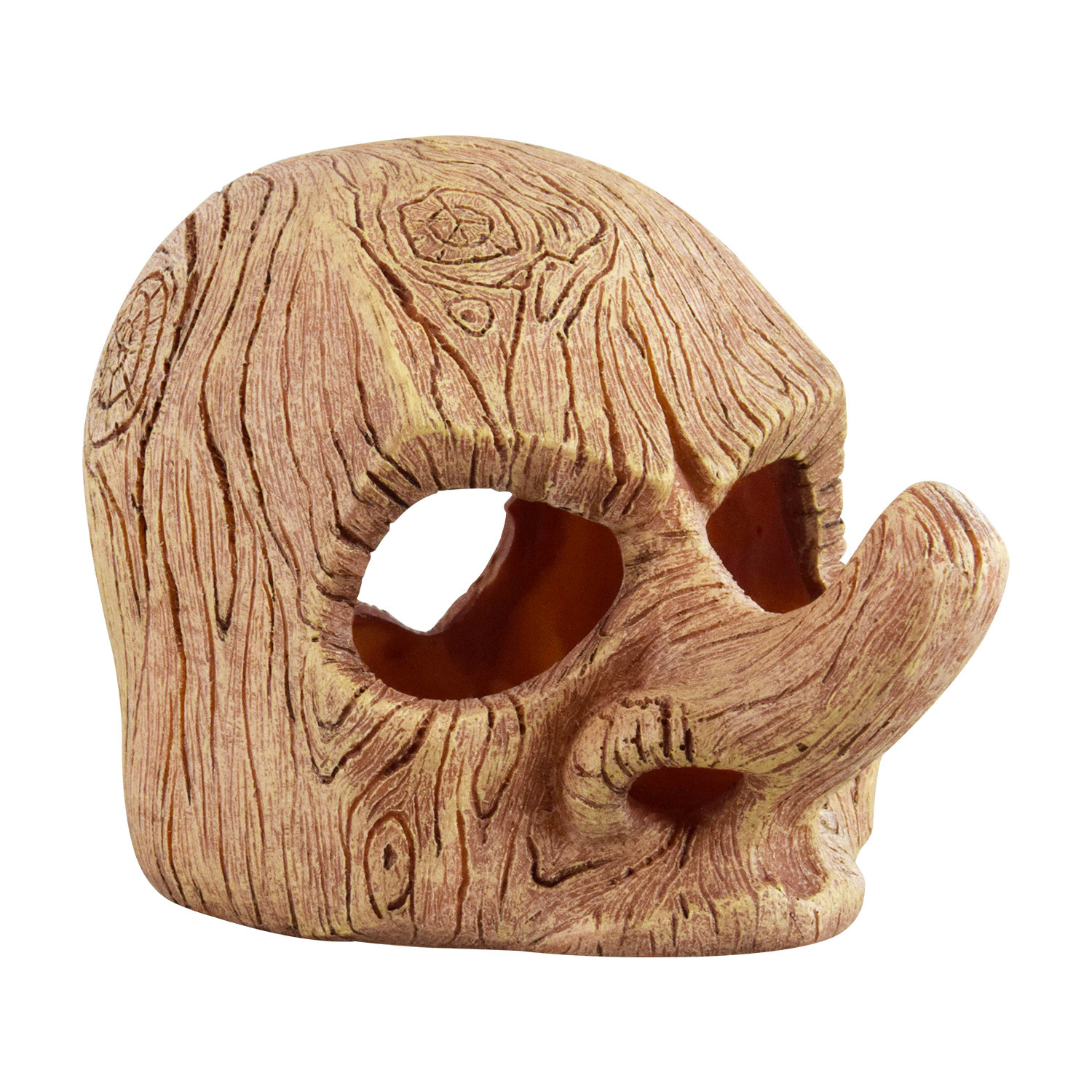 Treasures underwater Mr. Long Nose