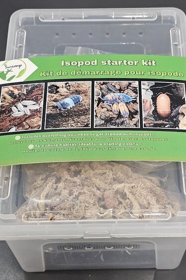 La Swamp kit de démarrage pour isopodes