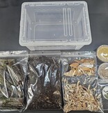 La Swamp kit de démarrage pour isopodes