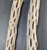 La Swamp  Cholla Wood pack of 2