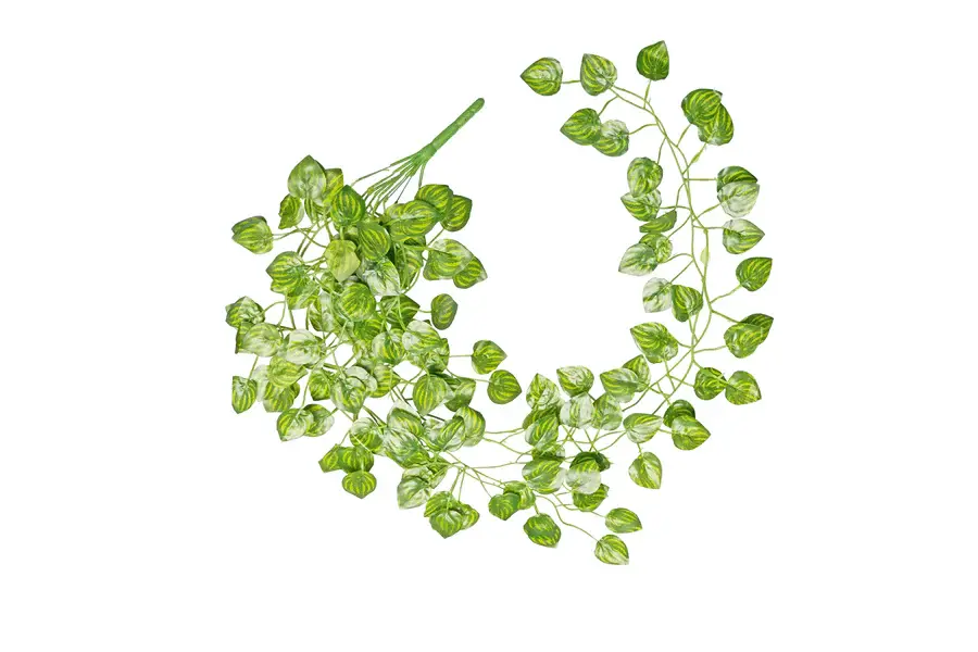 ReptiZoo ReptiZoo Feuilles de vignes de melon d'eau 36"