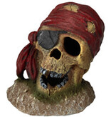 Pirate skull with eye patch