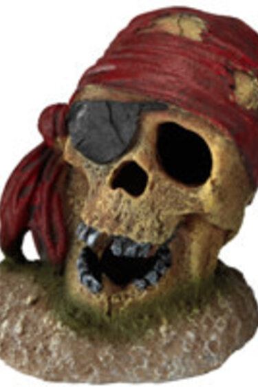 AQUA DELLA vp1129 Ornement crâne de pirate avec cache-œil