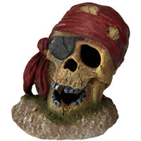 Pirate skull with eye patch