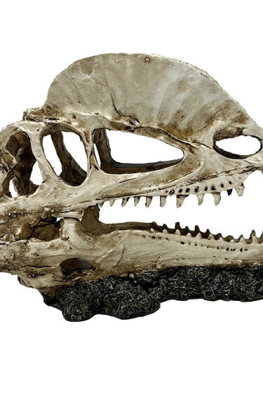 TheBio Dude Dino Decor - Dilophosaurus