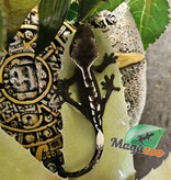 Magazoo Gecko à crête Axanthic Bébé #1