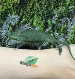Magazoo Male CBB Juvenile Veiled Chameleon #1