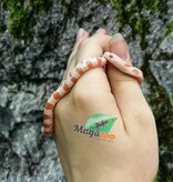 Magazoo Miami Candy Cane Sunkissed Baby female 2025 Corn snake