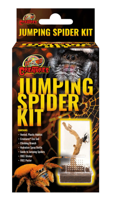 Zoomed ZOO MED 78400 Ensemble pour araignée sauteuse/ Jumping Spider Kit