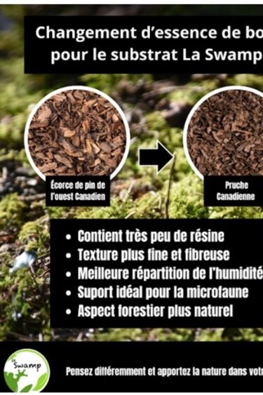 La Swamp Abg substrate for isopods