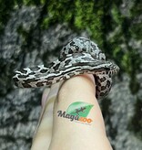 Magazoo Serpent des blés Anery het. Amel Bébé #6 Femelle