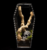 Tarantula Cribs Tarantula cribs - Arboricole Cercueil moyen 10 X 5 X 5 po