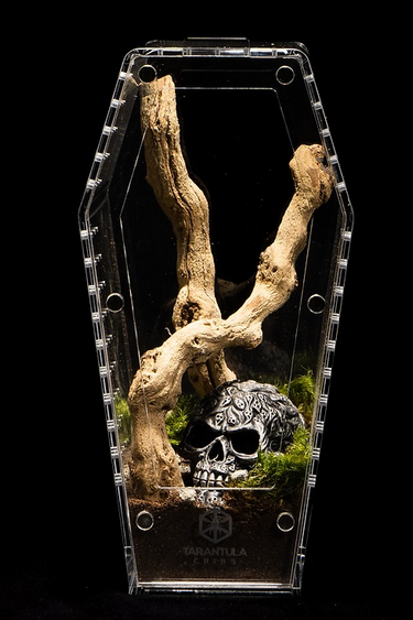 Tarantula Cribs Tarantula Cradles - Coffin med 10" Tall 10 X 5 X 5 in