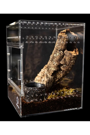 Tarantula Cribs Berceaux Tarantula - Medium Treehouse - Dos transparent - 6 X 6 X 8 in