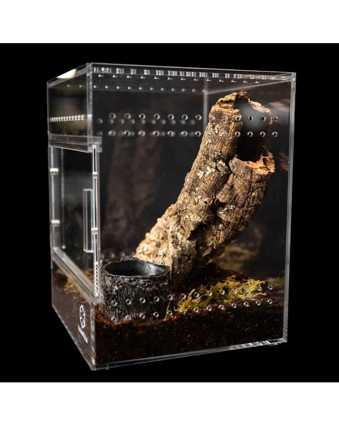 Tarantula Cribs Berceaux Tarantula - Medium Treehouse - Dos transparent - 6 X 6 X 8 in