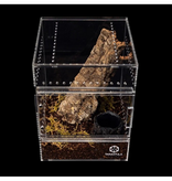 Tarantula Cribs Berceaux Tarantula - Medium Treehouse - Dos transparent - 6 X 6 X 8 in