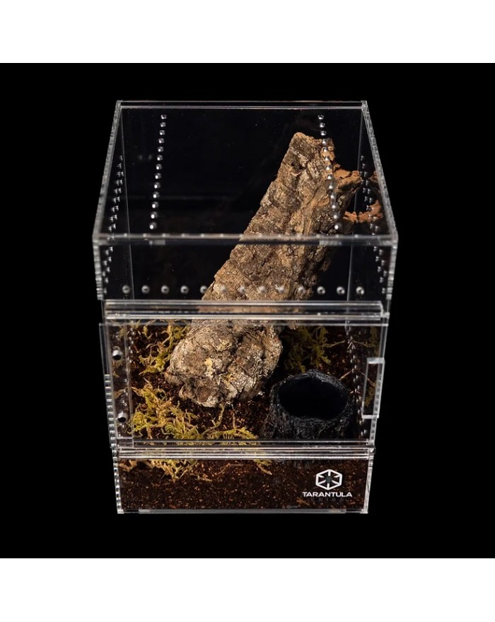 Tarantula Cribs TARANTULA CRIBS  - Cabane dans les arbres moyenne - Dos transparent - 6 X 6 X 8 po