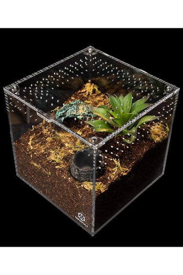 Tarantula Cribs Tarantula Cribs - Cube 4 X 4 X 4 po