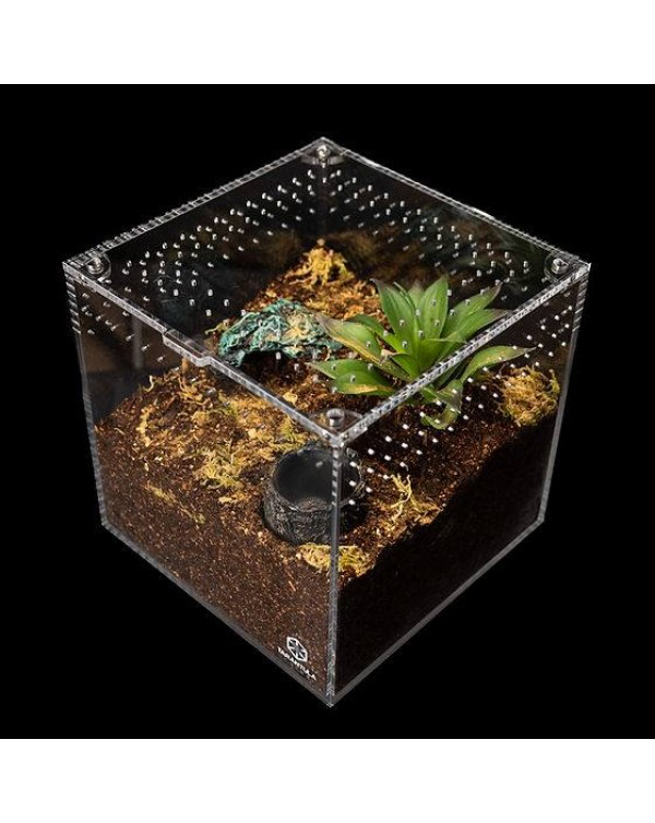 Tarantula Cribs Tarantula Cribs - 4 X 4 X 4 in Cube