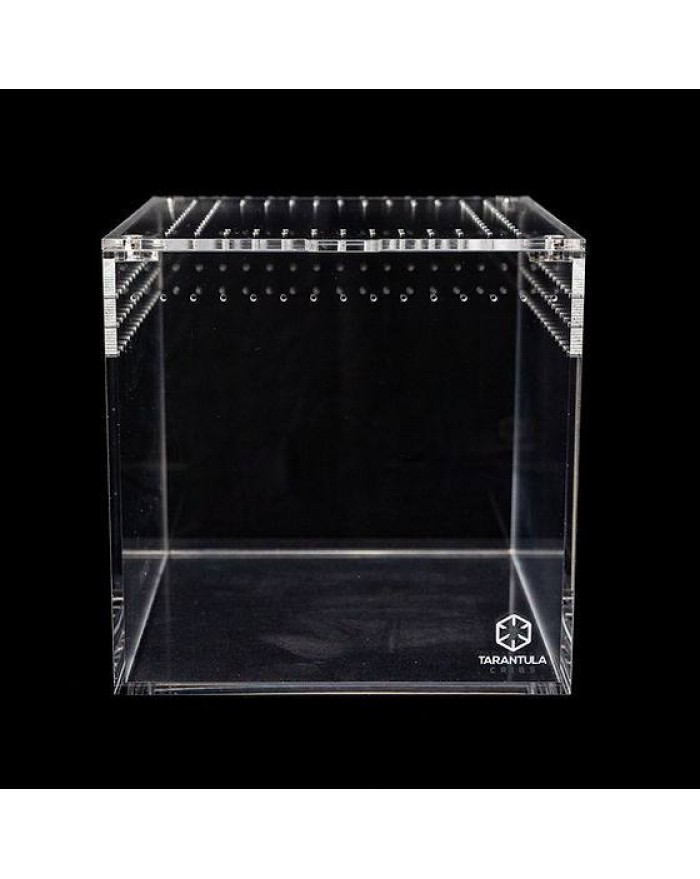Tarantula Cribs Tarantula Cribs - Cube 4 X 4 X 4 po