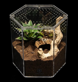 Tarantula Cribs TARANTULA CRIBS - Cage hexagonale de 8 X 8 X 8 po