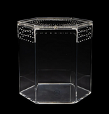 Tarantula Cribs Tarantula Cribs - 8″ Hex Crib 8″x 8″x 8″