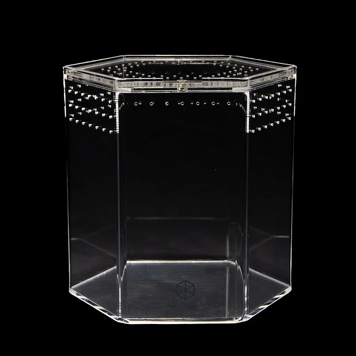 Tarantula Cribs Tarantula Cribs - 8″ Hex Crib 8″x 8″x 8″