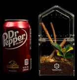 Tarantula Cribs TARANTULA CRIBS - Arboricole Canopée 3 x 3 x 6 po