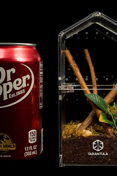 Tarantula Cribs Tarantula Nests - Canopy - Understory 3 x 3 x 6 in