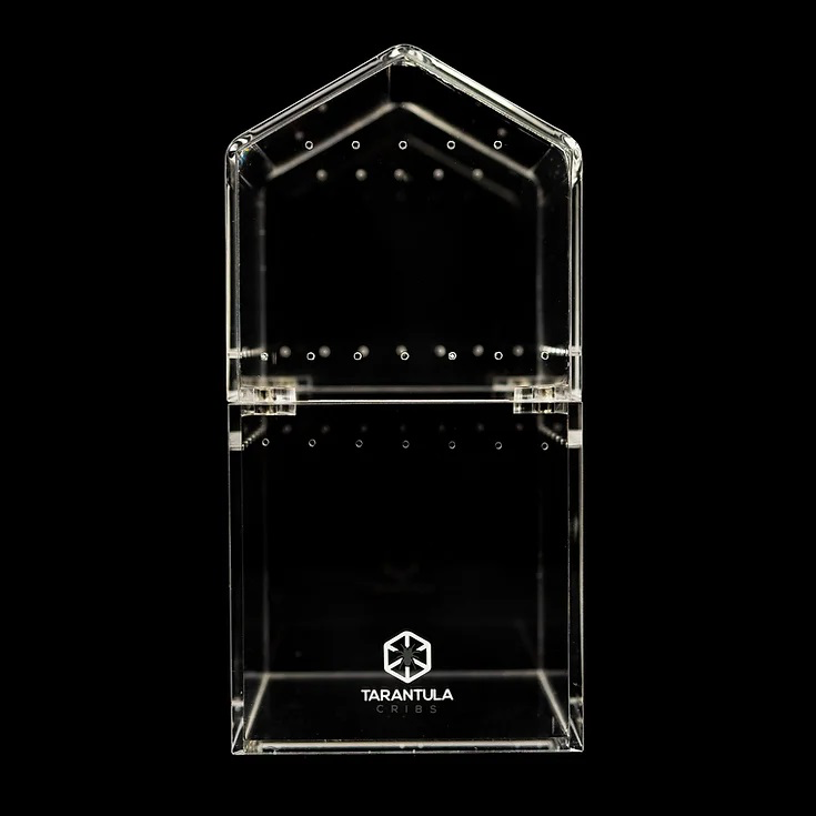 Tarantula Cribs TARANTULA CRIBS - Arboricole Canopée 3 x 3 x 6 po