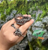 Magazoo Serpent des blés Anery Tessera het. Amel Bébé #5 Femelle