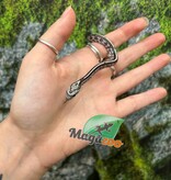 Magazoo Serpent des blés Anery Tessera het. Amel Bébé #4 Mâle