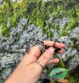 Magazoo Serpent des blés Anery het. Amel Bébé #7